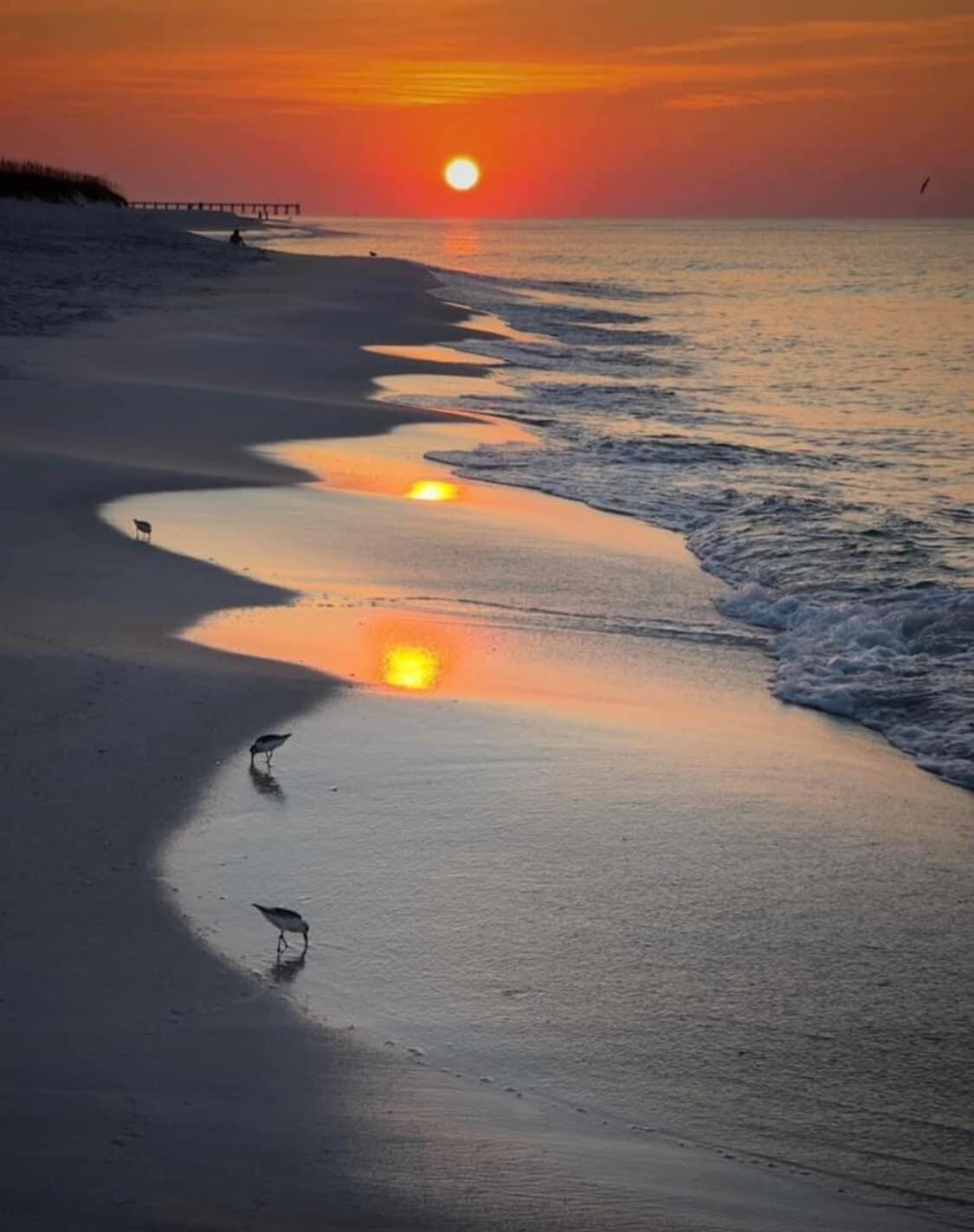 Liegestühle, Strandtücher