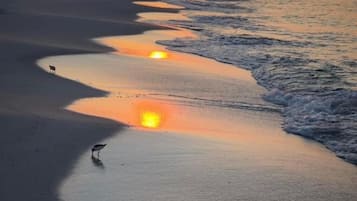 Sun loungers, beach towels