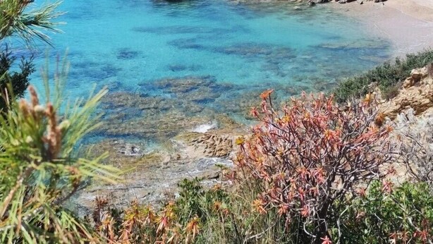 Un paysage côtier caractérisé par des eaux bleues et limpides, un terrain rocheux et une colline surmontée d’une tour.
