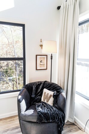 Smart TV, fireplace, books, computer monitors