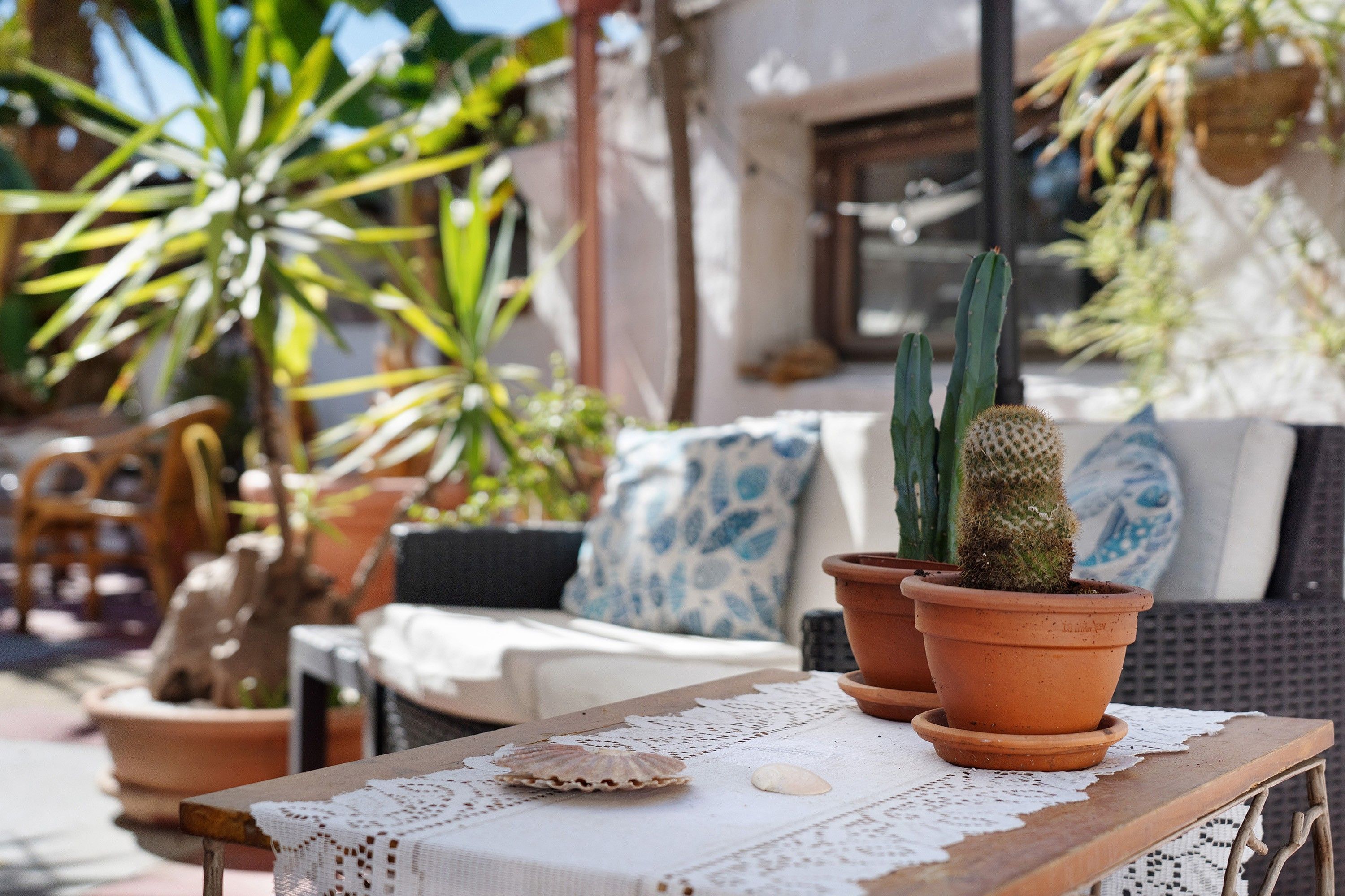 Eine Terrasse mit Tisch, zwei Kübelkakteen, einer gewebten Tischläufer und einer Korbuschlaube mit blauem Kissen.