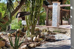 A cactus garden with various cacti and succulents, a wooden fence, and a paved walkway.