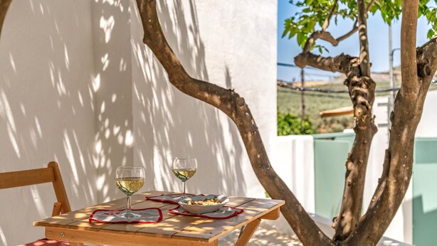 Mesa de madera con dos copas de vino y un bol de nueces, frente a una pared blanca con sombras proyectadas por un árbol.