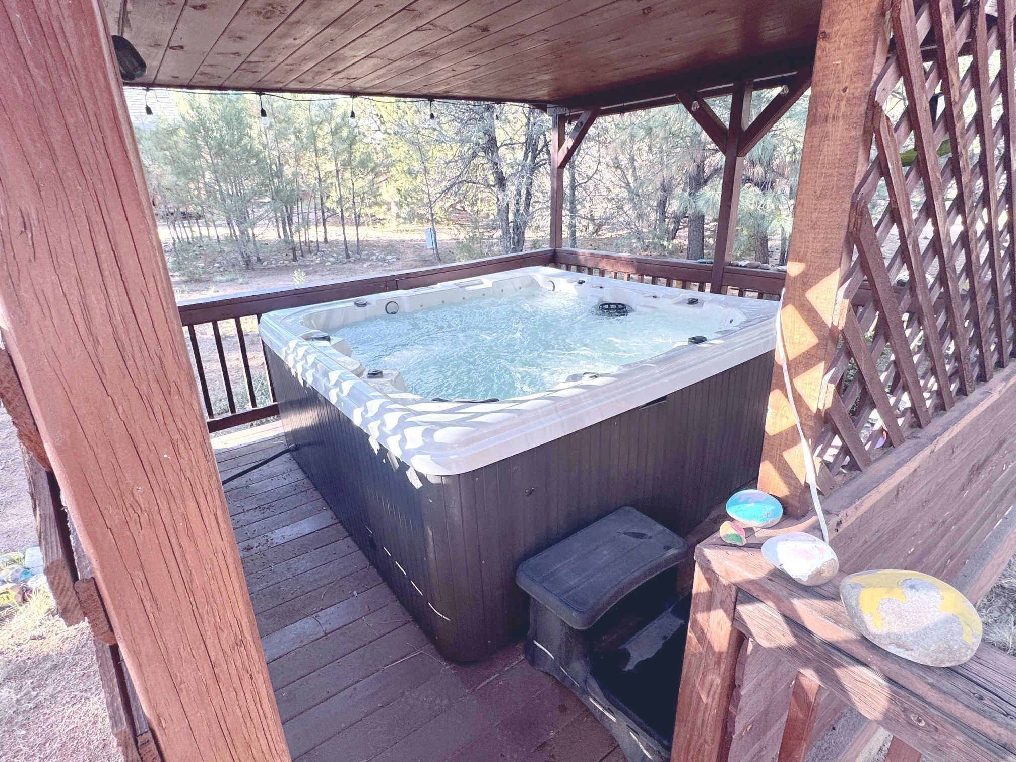 Baignoire à remous extérieure