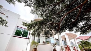 A spacious outdoor area with a tiled floor, large potted plants, and a white building with a red roof.