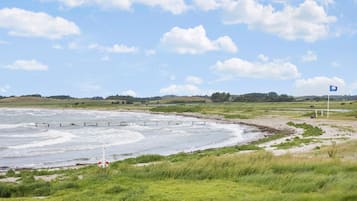 Un paysage côtier avec une plage de sable, des dunes herbeuses et un ciel dégagé.