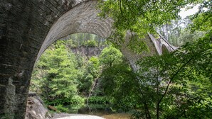 A stone bridge arching over a river, surrounded by dense forest. - Caravan 'La Pêcherie' with Private Terrace (malbosc)