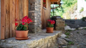 Una pared de piedra rústica con macetas de terracota con flores rojas.