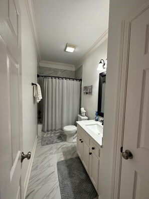 Bidet, towels, soap, shampoo