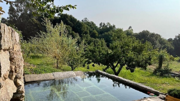 A clear outdoor swimming pool with a wooden deck, surrounded by greenery and trees. - Country House 'María Bargiela' with Private Terrace, Private Garden and Wi-Fi (A Picaraña)