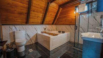 Combined shower/bathtub, free toiletries, hair dryer, slippers
