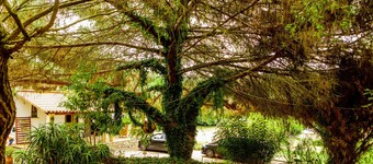 Holiday home 'Casa Girassol' with shared pool, private terrace, and Wi-Fi access