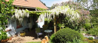 Llama and Maine Coon farm in sunny  and secluded location in Biederbach 3 rooms