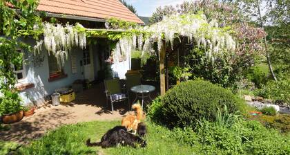 Llama and Maine Coon farm in sunny and secluded location in Biederbach 3 rooms