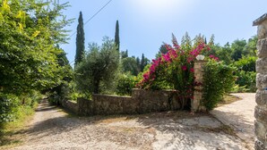 Un giardino con un muro in pietra, un vialetto e diverse piante.