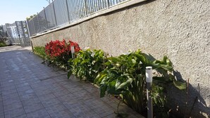 Un sendero pavimentado con una cerca metálica y un muro con plantas.