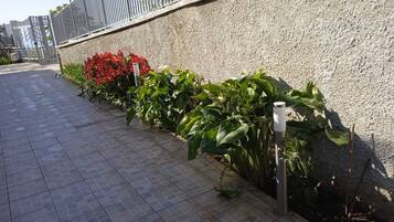 Parco della struttura