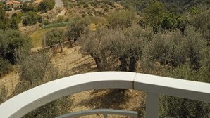 Un paisaje costero con una carretera que lleva a un pueblo, rodeado de olivos y vegetación.