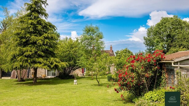 Property grounds - L'Ecrin de Soligny - SOLIGNY LES ETANGS (SOLIGNY LES ETANGS)