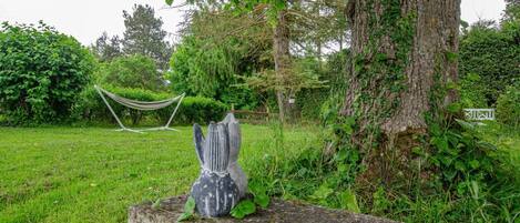 Àrea exterior de l'allotjament