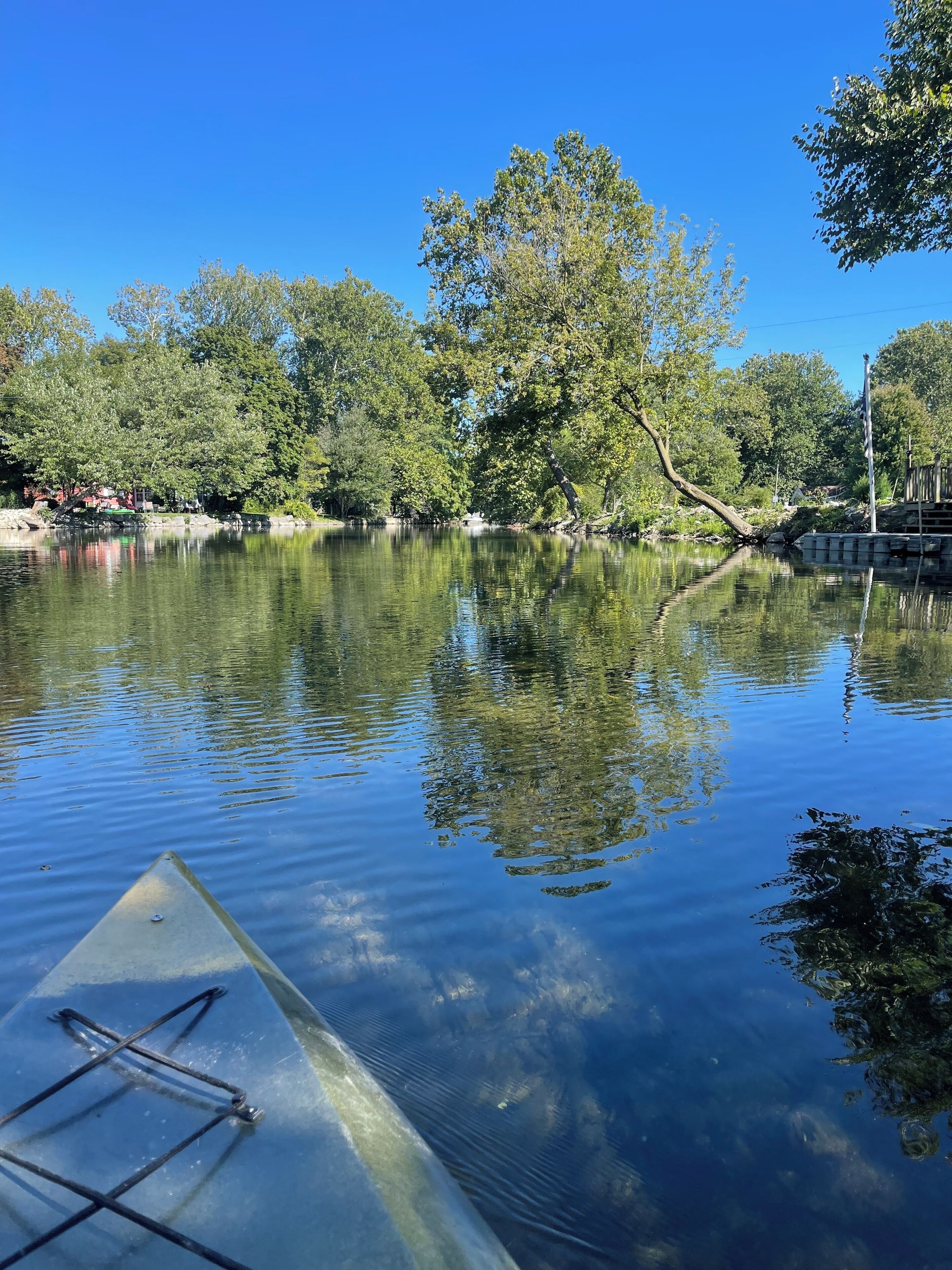 Ein ruhiger See mit Spiegelungen von Bäumen und einem klaren Himmel.