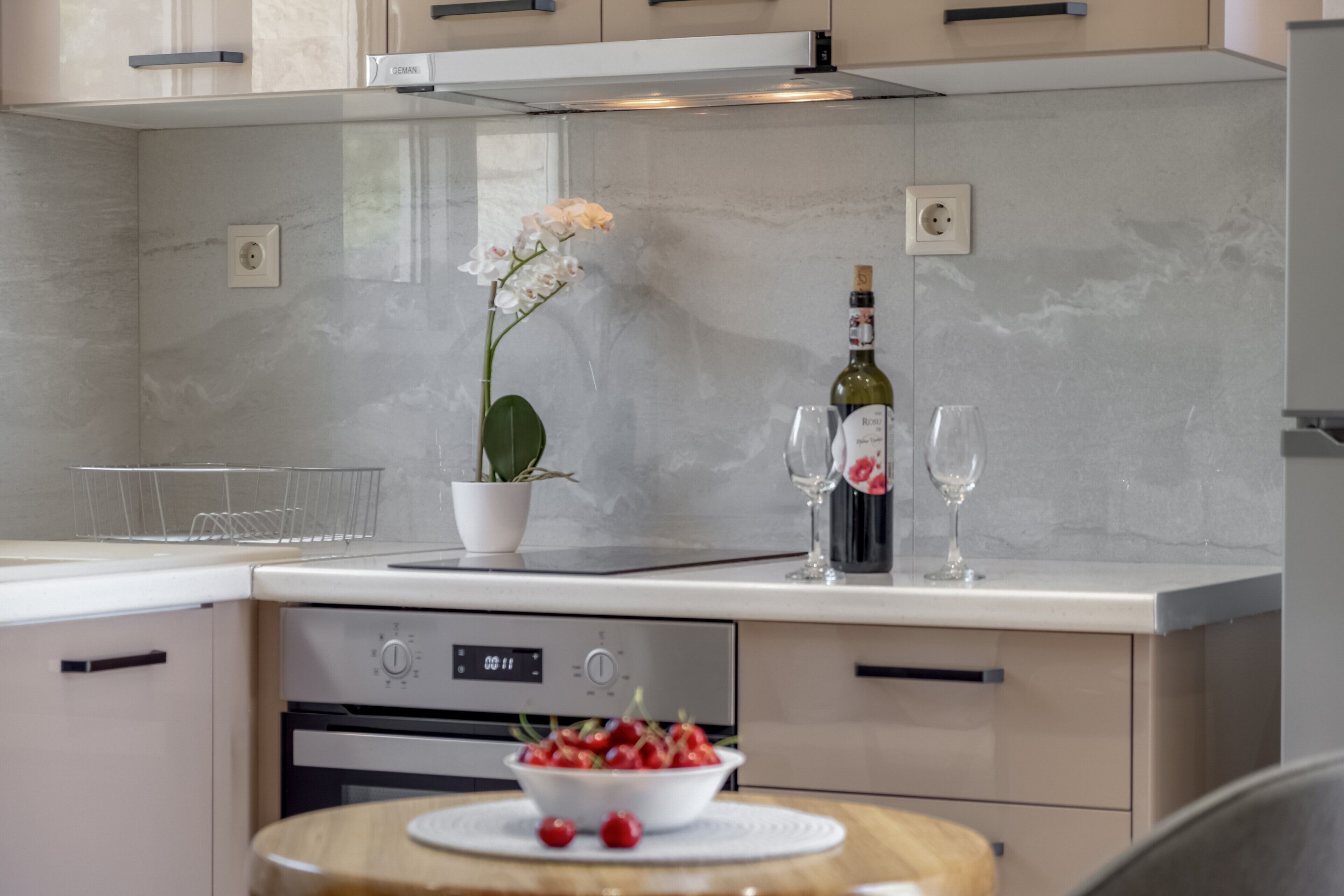 Fridge, oven, stovetop, coffee/tea maker