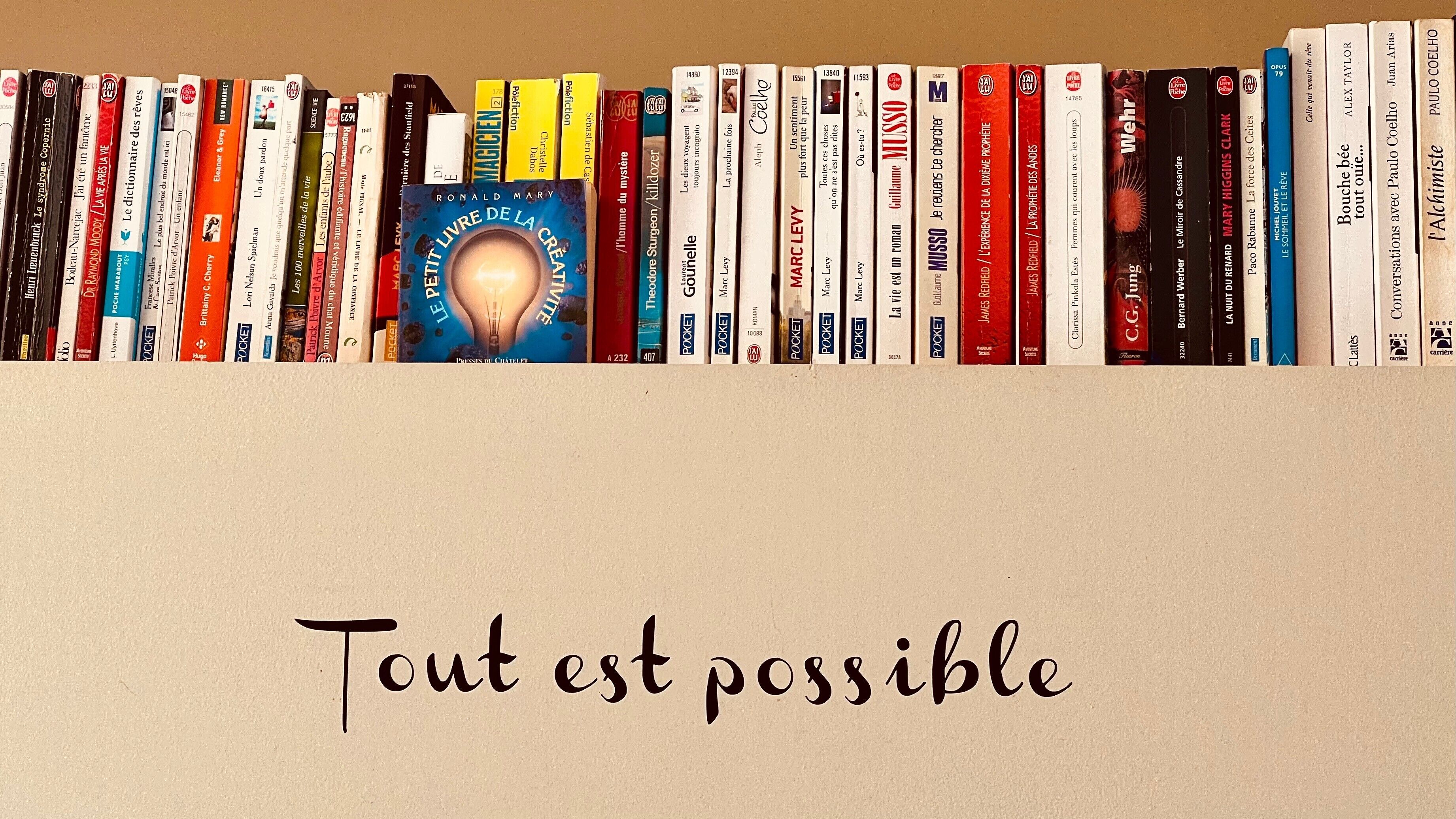 A bookshelf with a variety of books, including titles like 'Le Petit Livre de la Création' and 'Pocket.'