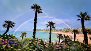 A beach with palm trees and a rainbow.