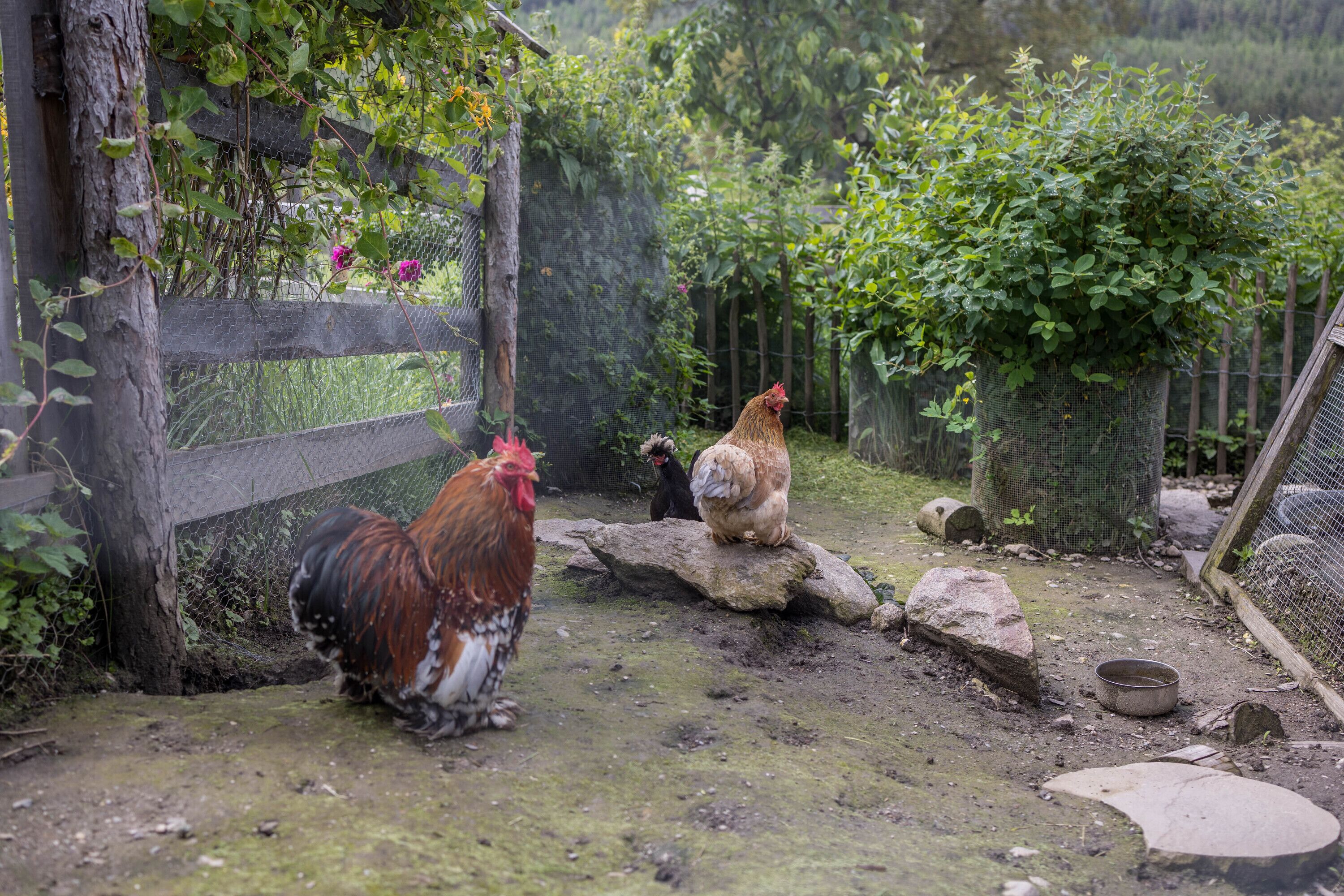 Áreas de la propiedad