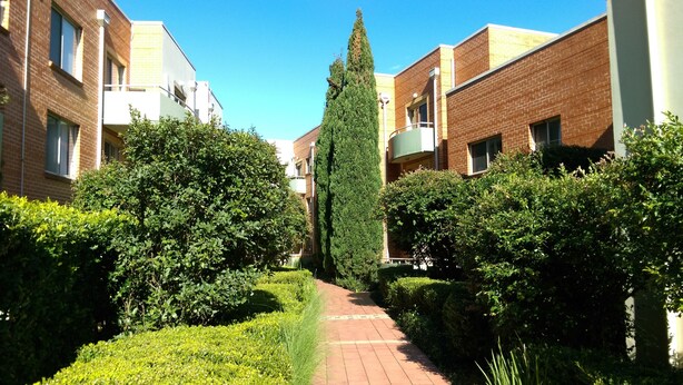 Ein Weg, der von gepflegten Hecken und einem hohen, schmalen Baum gesäumt wird, führt zu einem Gebäude mit Ziegel Fassade und mehreren Fenstern.