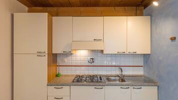 Kühlschrank, Mikrowelle, Herdplatte, Wasserkocher