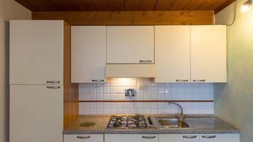 Fridge, microwave, stovetop, electric kettle