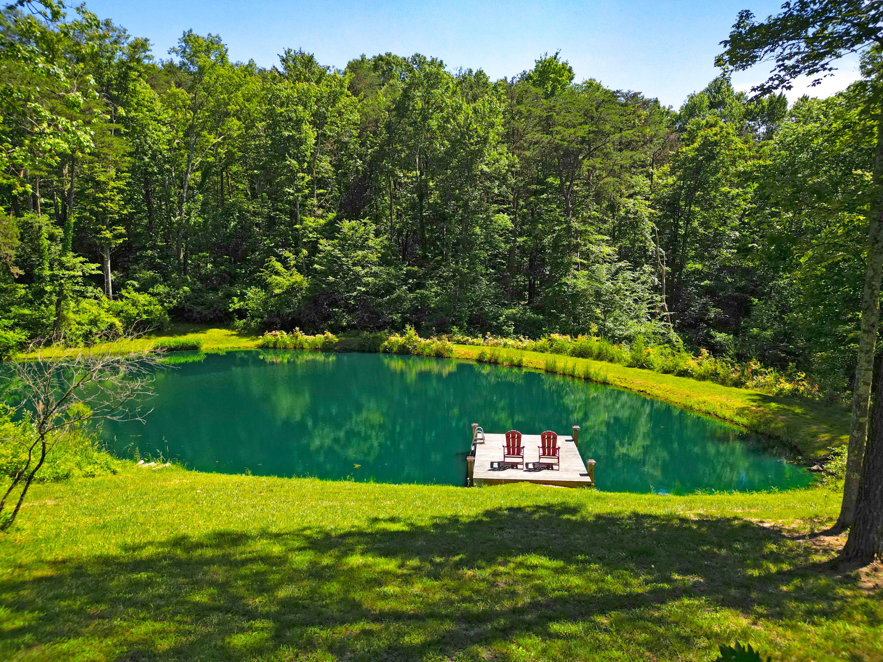 A serene lake surrounded by lush greenery, a wooden dock, and a clear sky.