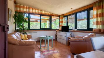 Fernseher, DVD-Player