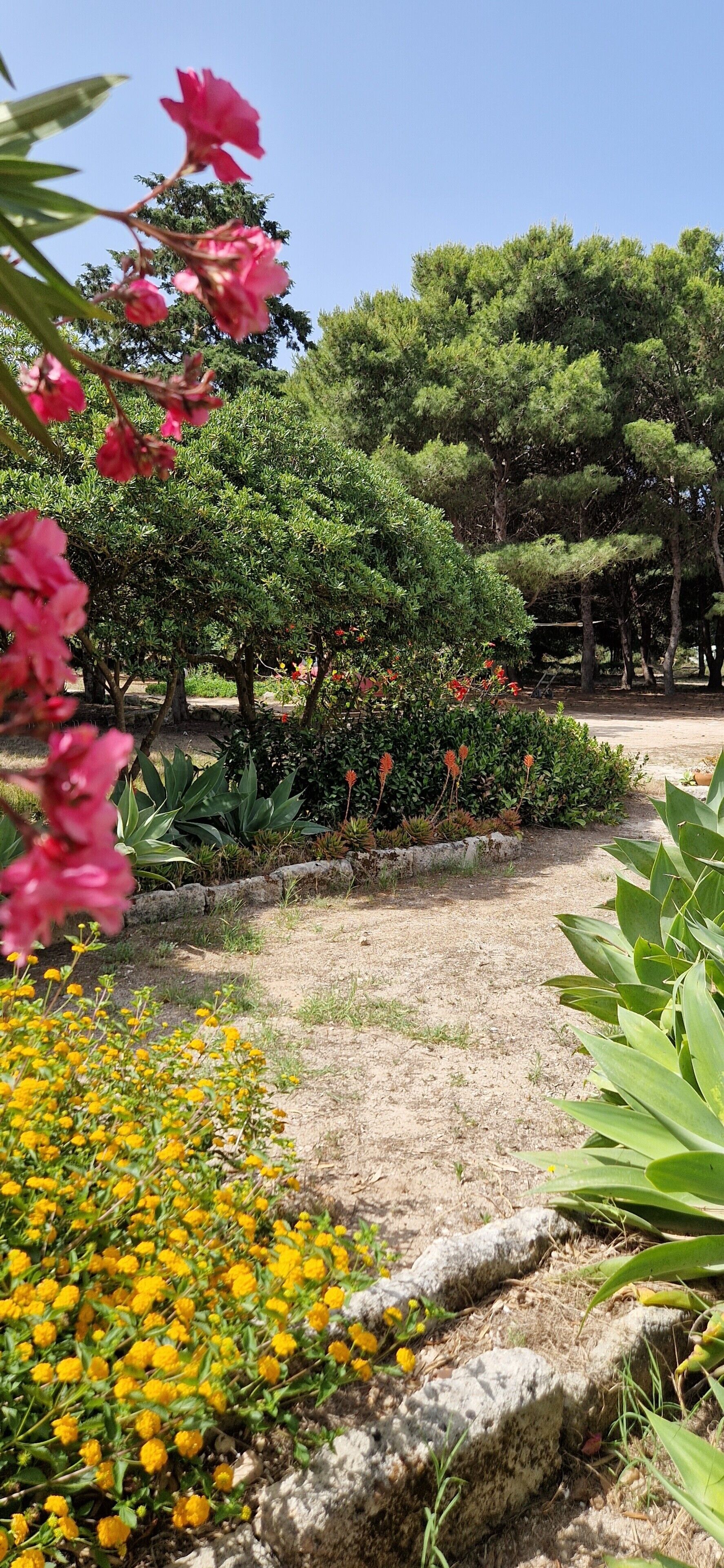 Parco della struttura