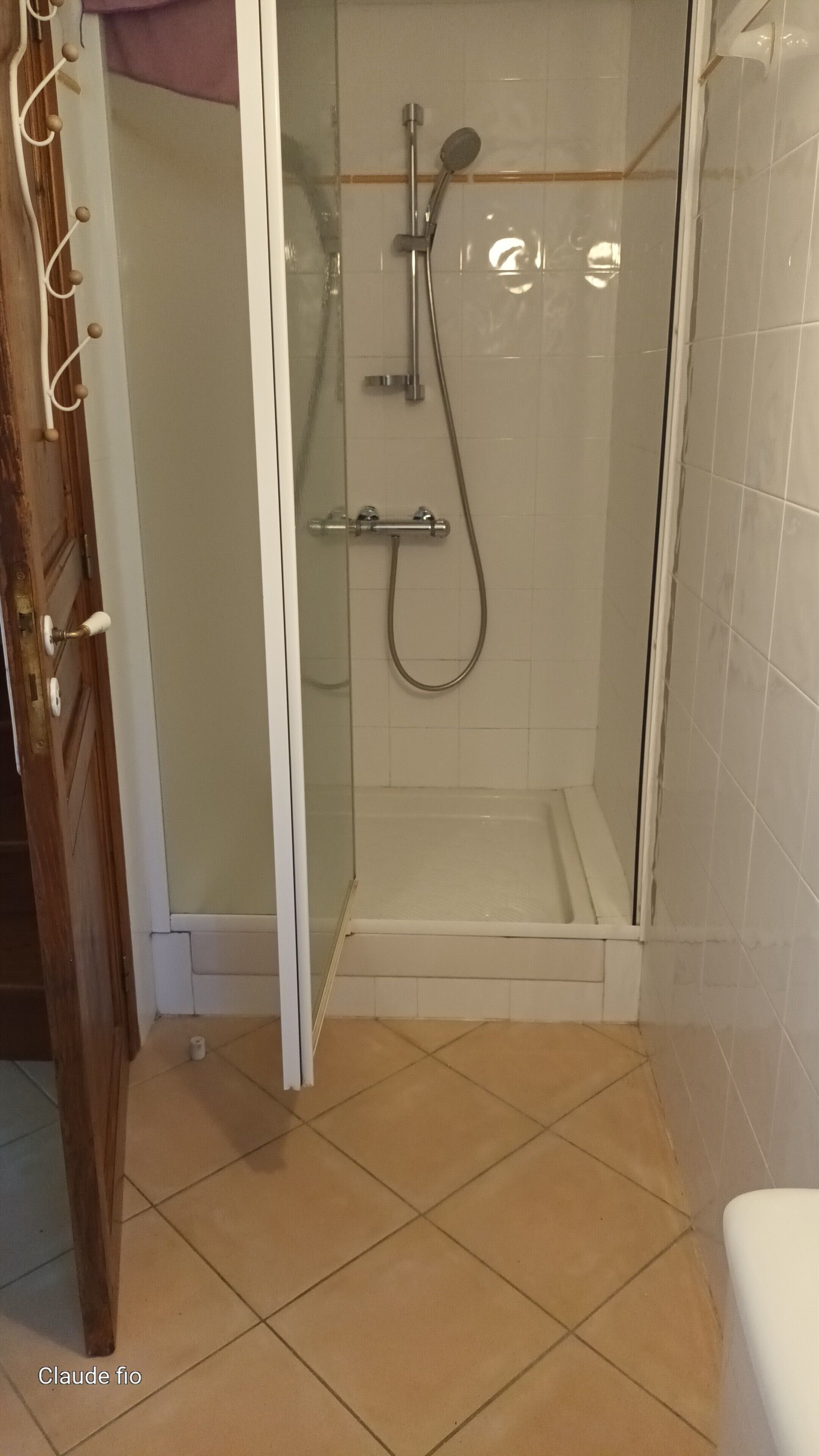 シャワー、ヘアドライヤー、タオル