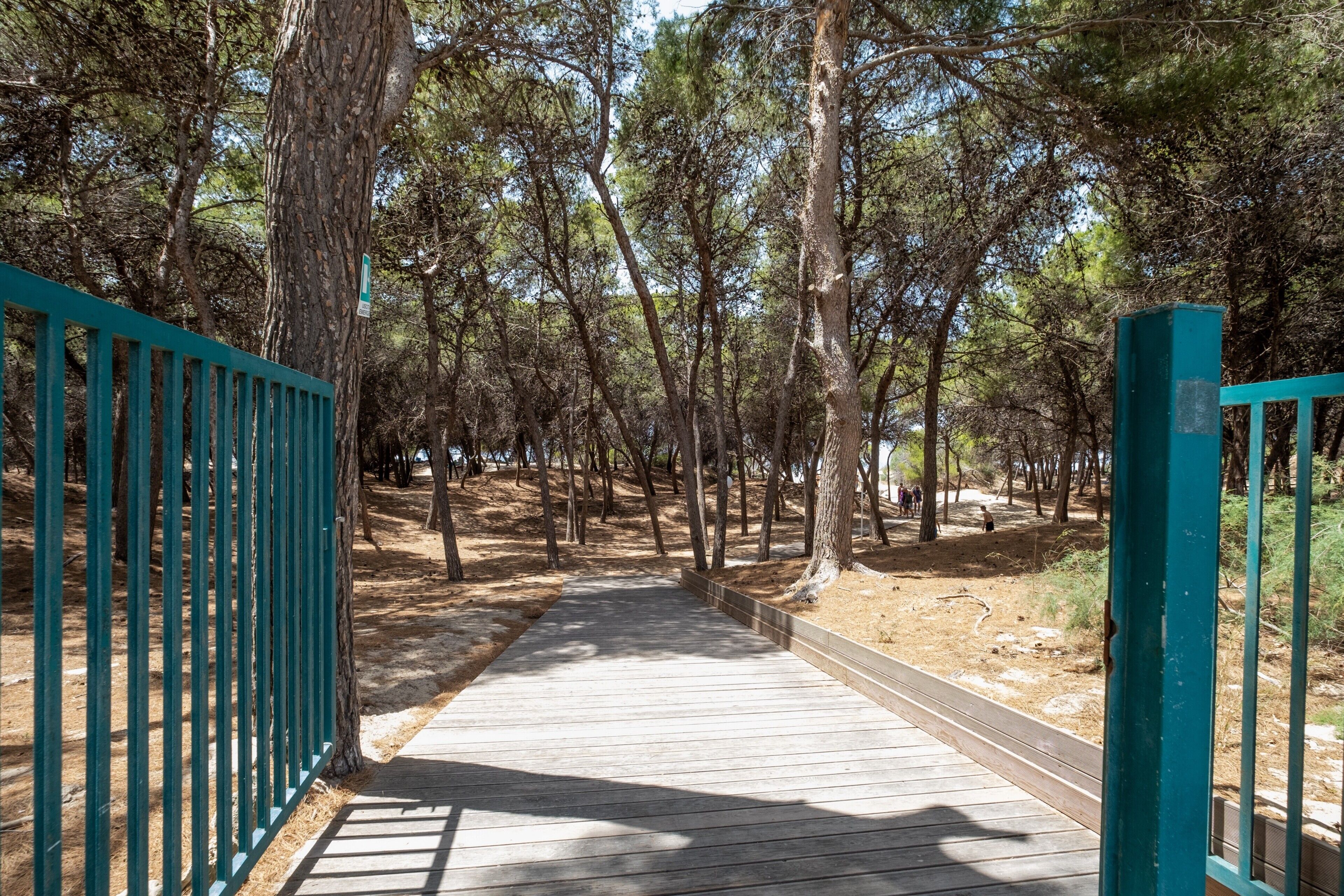 Parco della struttura