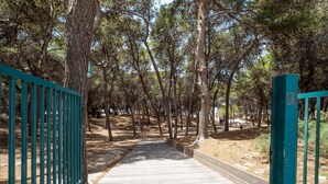 Un sentier en bois traverse une zone boisée, et une porte en métal se trouve sur la gauche.
