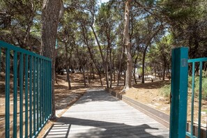 A wooden pathway leading through a forested area with a metal gate on the left.