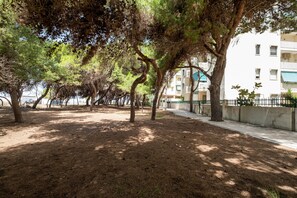A tree-lined pathway with a building in the background.