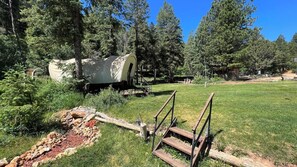 Uklassifisert bilde, 4 av 8, knapp