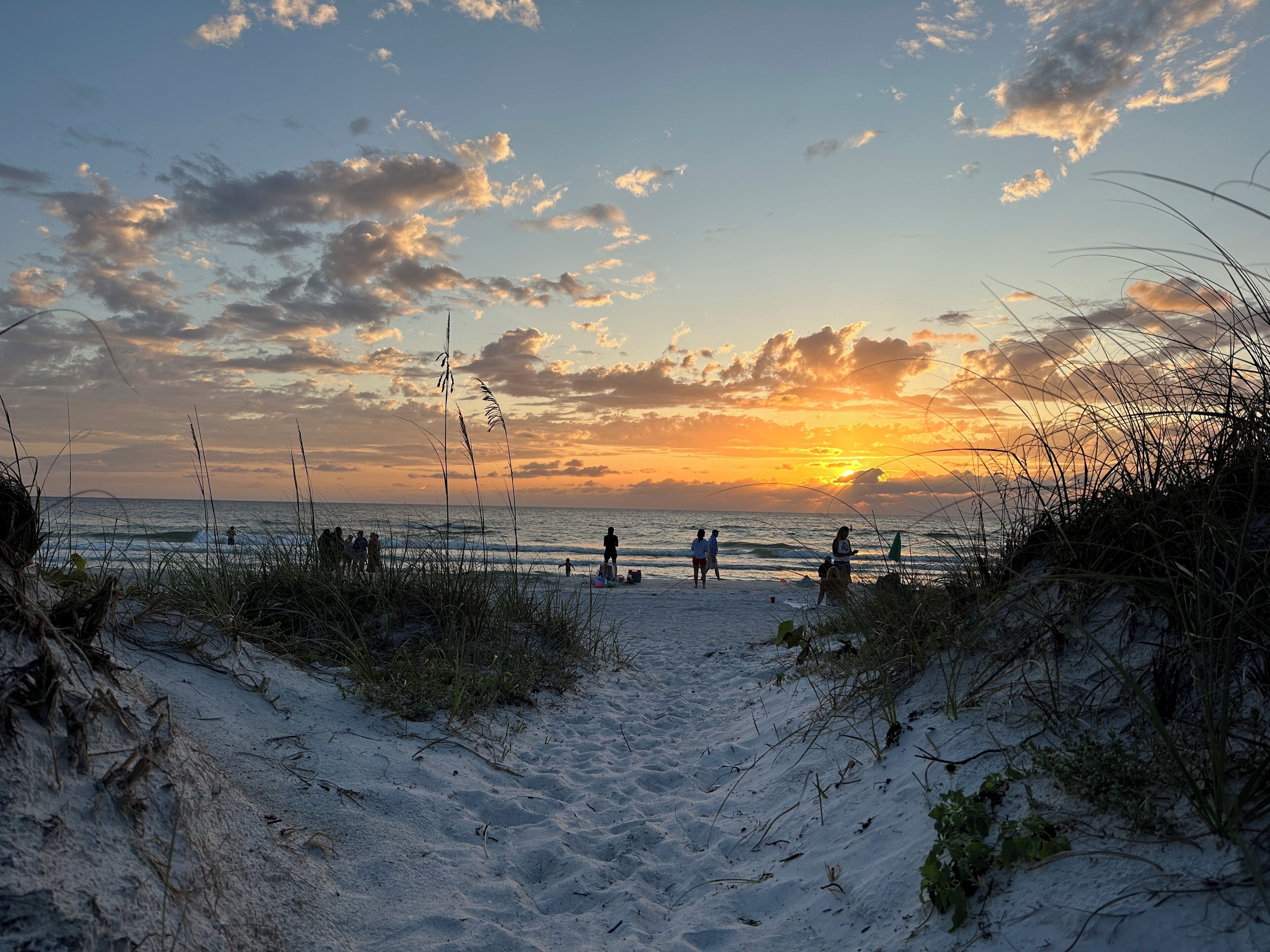 Camastros y toallas de playa 