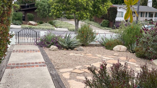 Property grounds - Santa Barbara Mission Studio (Santa Barbara)