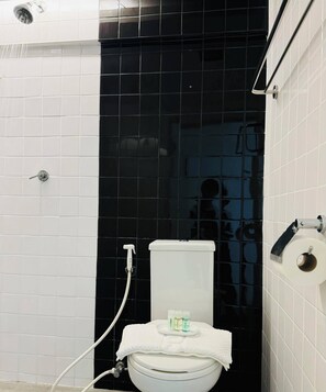 Estudio estándar, vista al parque | Baño | Regadera, toallas, jabón, shampoo 