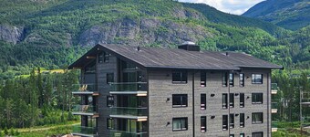 Amazing apartment in Hemsedal with WiFi