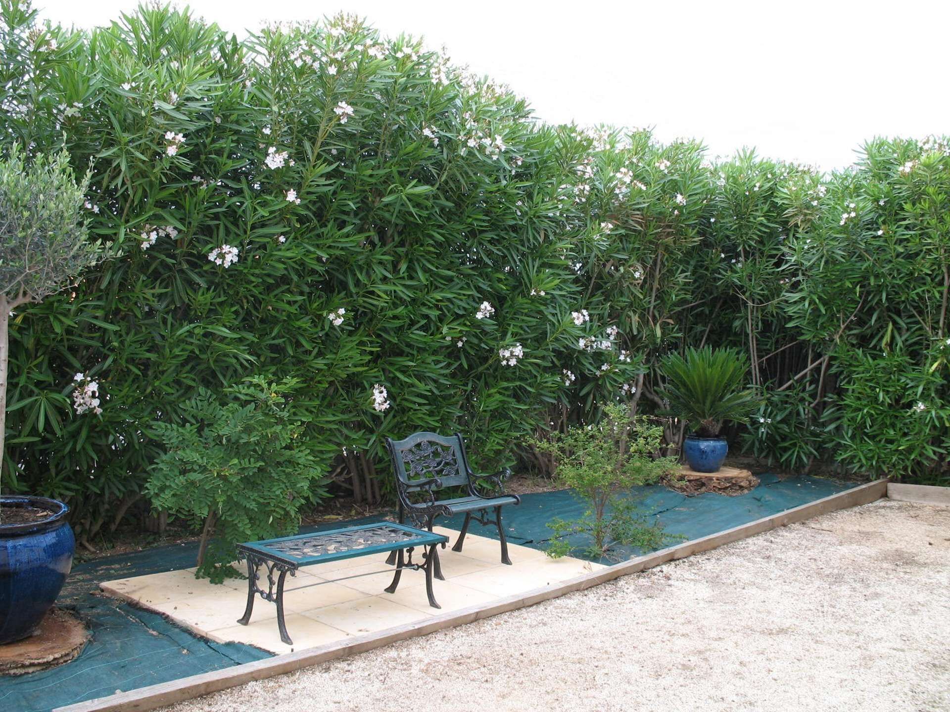Een tuin met een bankje, een tafeltje en planten in potten.