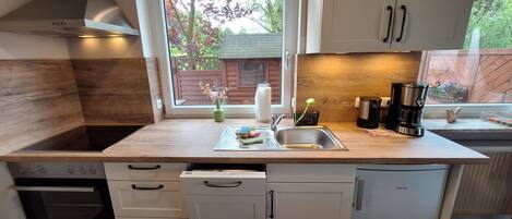 Fridge, oven, stovetop, dishwasher