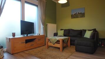 Smart TV, DVD player, books