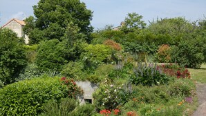 Un jardín con diversas plantas y flores, un sendero de tierra y un edificio al fondo.