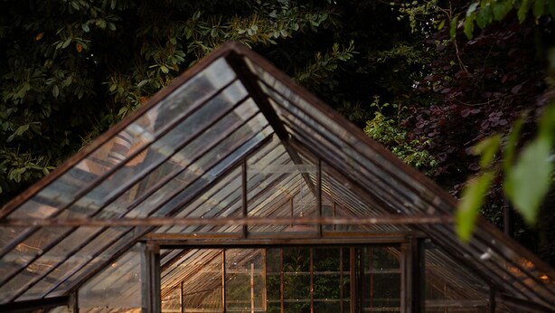 3 bedrooms - La Petite For t Antique Countryside Greenhouse (Asse)